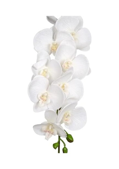 Orkide Gerçek Dokulu Beyaz 95 Cm.