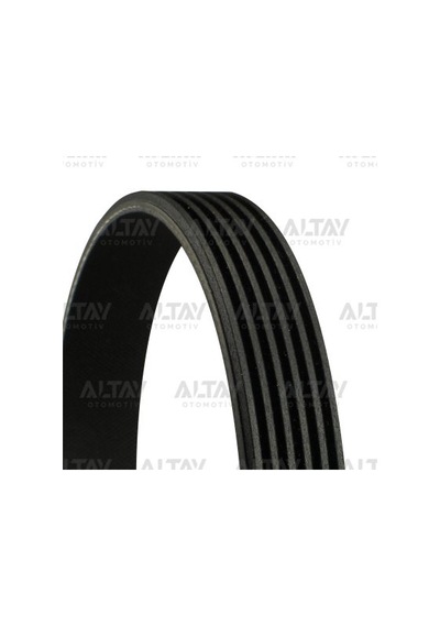 6pk825 V Kayısı 6pk825