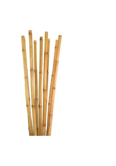 Bitki Destek Çubuğu Bambu 75 Cm 20 Adet