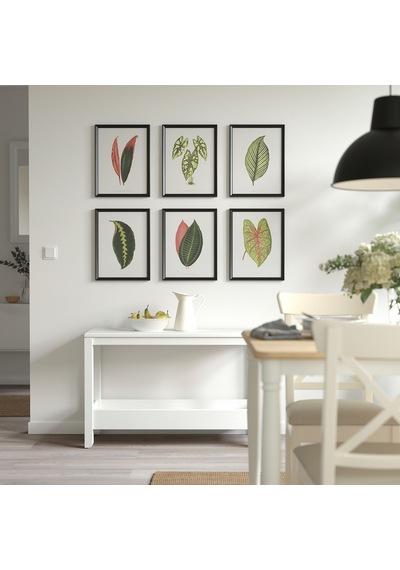 Bild Poster, Çok Renkli