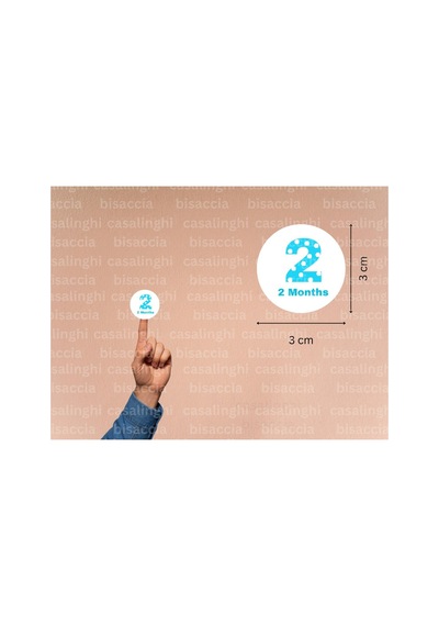 3 Cm 95 Adet Mavi 2 Months Etiketi Puanlı İki Aylık Yuvarlak Mat Çıkartma Bebek Cute Round Sticker Çok Renkli