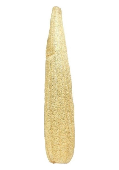 Kese Hamam Kesesi Kabak Lifi 60 - 70 Cm Ham Kabak Lifi Işlenmemiş Lif Kabak