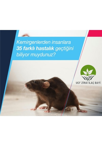 Fare Zehiri Fare İlacı 3 Karışım İlacı Lezzetli Buğdaylar 150 G
