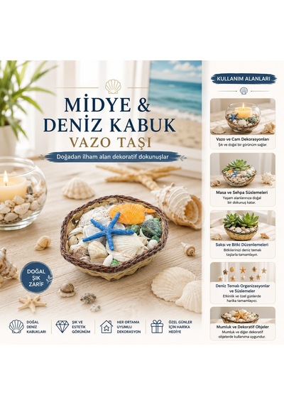 Midye Ve Deniz Kabuk Vazo Taşı - Renkli Mix, Ahşap Sepetli Küçük Kare Şeffaf