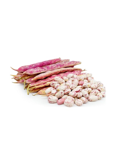Yerli Organik Taze Barbunya 1 KG