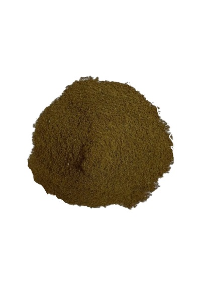 Derya Eren Kereviz Tohumu Öğütülmüş Tozu 250 G