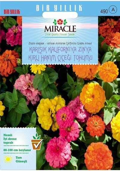 Miracle Karışık Kaliforniya Zinya Kirli Hanım Çiçeği Tohumu 50 T