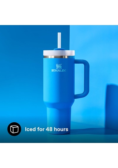 Quencher Pipetli Termos Bardak, 0.89 L Çok Renkli