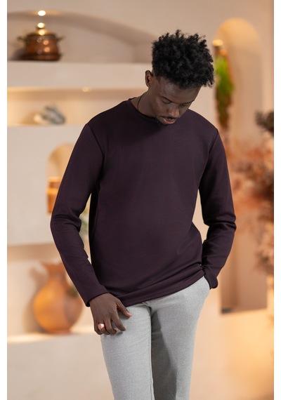 Paul Martin Modal Esnek Kumaş Regular Fit Mevsimlik Sweatshirt Mor