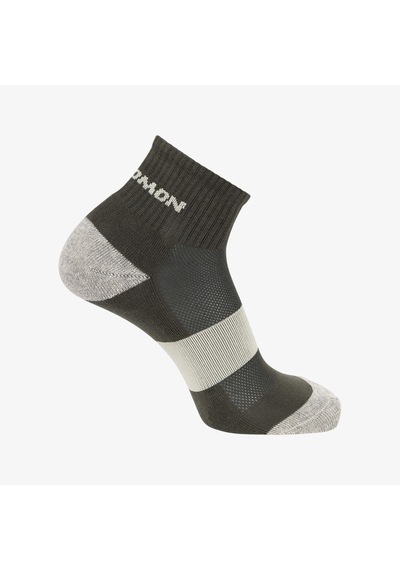 Salomon Evasıon Ankle 2-pack Renkli Çorap