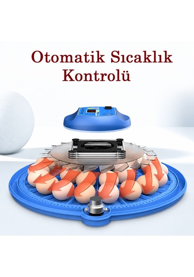 80 Yumurta Kapasiteli Tam Otomatik Kuluçka Makinesi