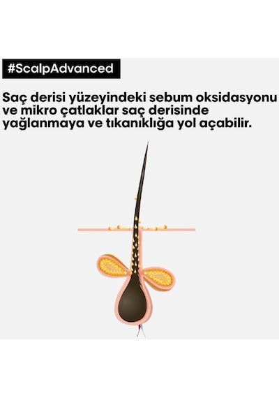 L'Oréal Professionnel Serie Expert Scalp Advanced Yağlanma Karşıtı Profesyonel Şampuan 500 ML