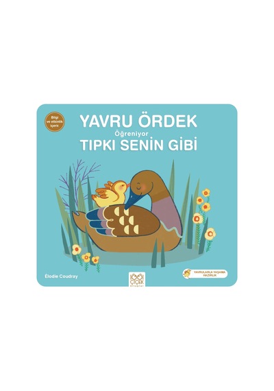 Yavru Ördek Öğreniyor Tıpkı Senin Gibi