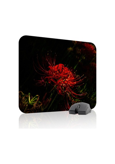 Higanbana Kaymaz Dikişli Kauçuk Oyuncu Mousepad V2 - 48x40 Xl Gaming Mouse Pad Fare Altlığı