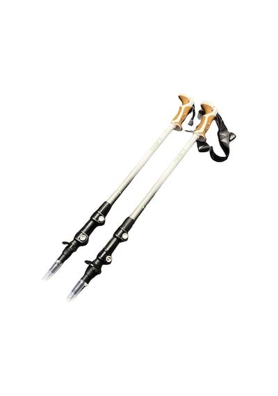 Leki Jannu Speedlock Trekking Batonu Çok Renkli