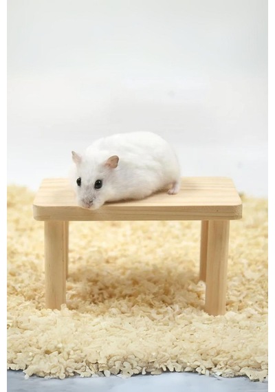 Hamster Ahşap Oyun Platformu - Kafes Aksesuarı Ve Yem Standı