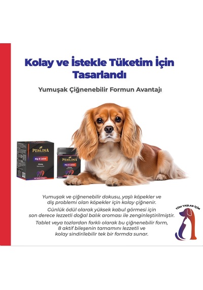 Perlina Kalça Ve Eklem Destek Tablet