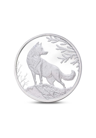 Agakulche Kurt Gümüş Sikke Coin