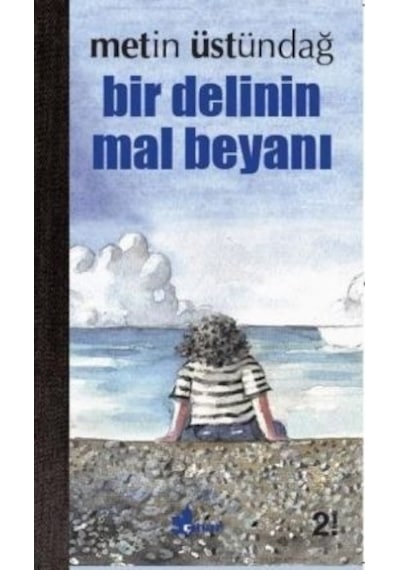 Bir Delinin Mal Beyanı - Metin Üstündağ - Çınar Yayınları