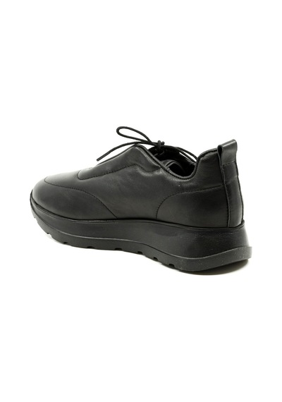 Dexter Tp22126-61 Çok Renkli