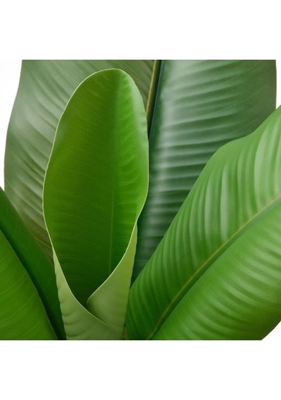 Ikea Fejka Yapay Bitki, Yeşil, 12 Cm, İç/dış Mekan Muz Ağacı