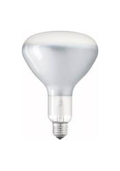 250 Watt Infrared Ampul Isıtan Lamba