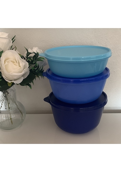 Tupperware Mucize Şeker Saklama Ve Servis Kabı 3 Lü Set Yeni Renkler Mavi