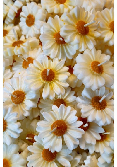 Bernami Mumluk Şamdanpinterest 10 Adet Suda Yüzen Ve Tealight Olarak Kullanılabilen Papatya Mum Dekoratif Hediyelik Diğer