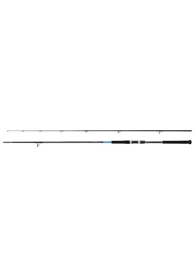 Shimano Bassterra Xt 289 Cm 20-80 Gr Shore Jig Kamışı