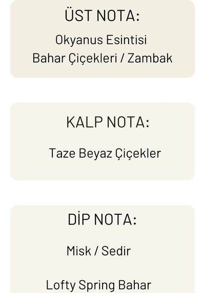 Lofty Spring Bahar Uçucu Yağ Buhurdanlık Esansı Oda Kokusu 10 ML