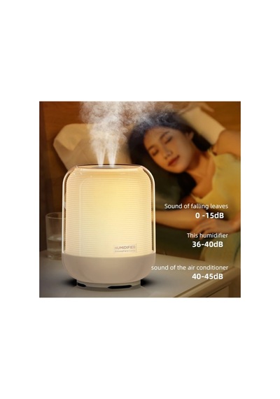 3 Litre Oda Hava Nemlendirici Led Işıklı Buhar Makinesi Çift Nozul Humidifier