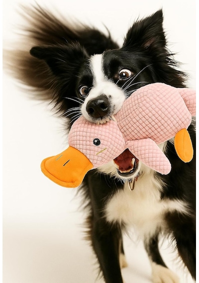 Busstier Köpek Oyuncağı Ördek Şekilli Peluş Sesli Ve Hışırtılı Dayanıklı Çiğneme Ve Isırma Oyuncağı An