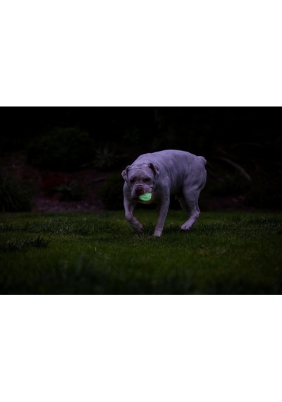 Chuckit Air Glow Getirme Topu Köpek Oyuncağı, Orta 2,5 İnç , 1 Adet, Irklar İçin 20-60 Lb