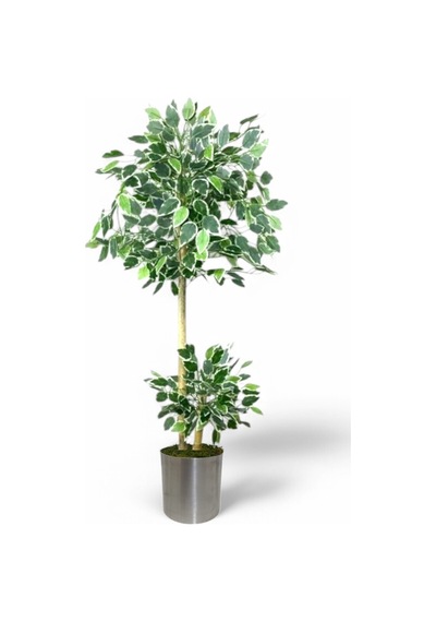 150 Cm Ficus Yapay Ağaç Bambu 2 Gövdeli Metal Saksı Yeşil