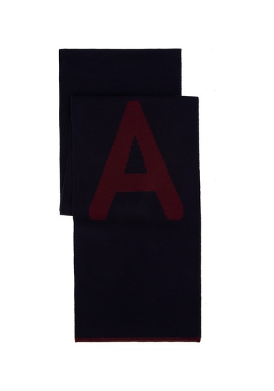 U.s. Polo Assn. Erkek Lacivert Kaşkol 50298107-vr033 Lacivert