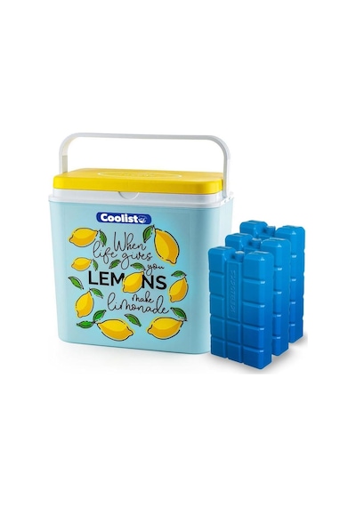 Ayrex Coolist Clb30lm Limon Desenli Buzluk, 30 Litre + 3 Adet Buz Kaseti 400gr Diğer