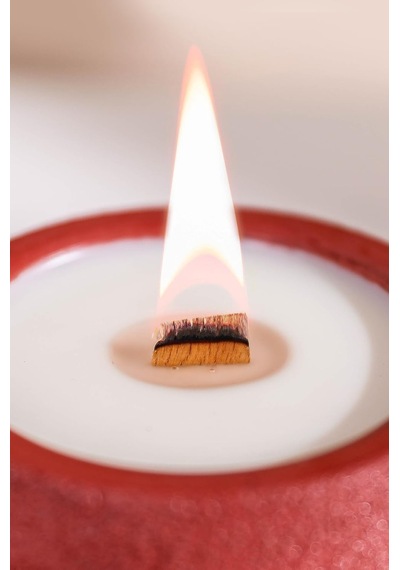 "cyle"%100 Soya Wax Organik Beton Mum & Saksı - Kırmızı Çok Renkli