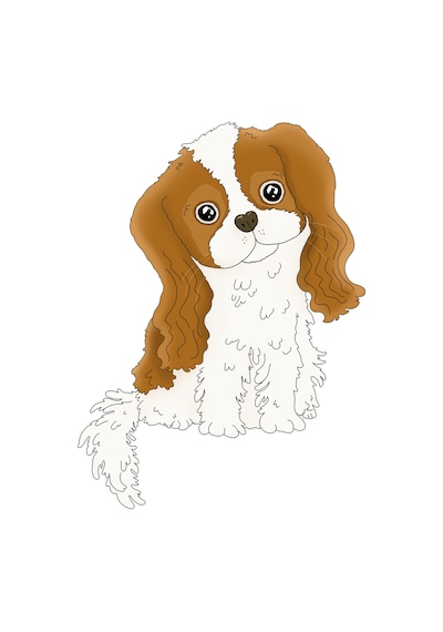 Paybuy Çocuk Cocker Spaniel Baskılı Tişört %100 Pamuk Kısa Kollu Yuvarla Siyah