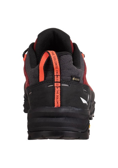 Salewa Alp Trainer 2 Gtx Kadın Ayakkabı 001