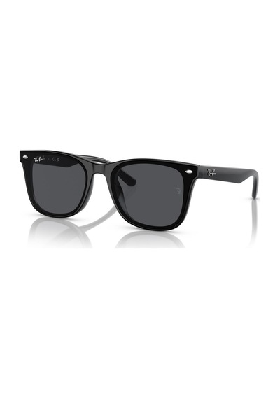 Ray-ban Rb4420 601/87 65 Unisex Güneş Gözlüğü Siyah