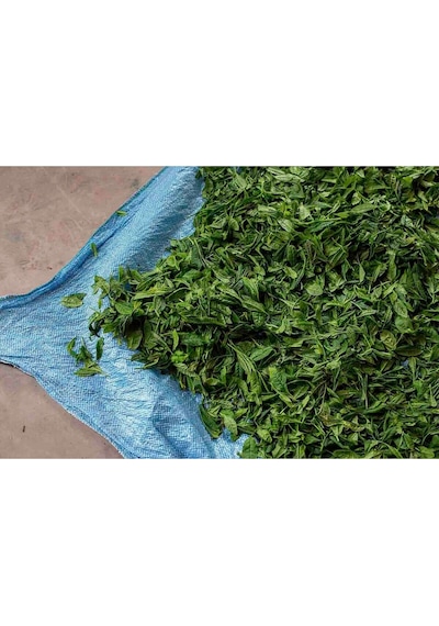 Portakal-bergamot Aromalı Siyah Çay 350g