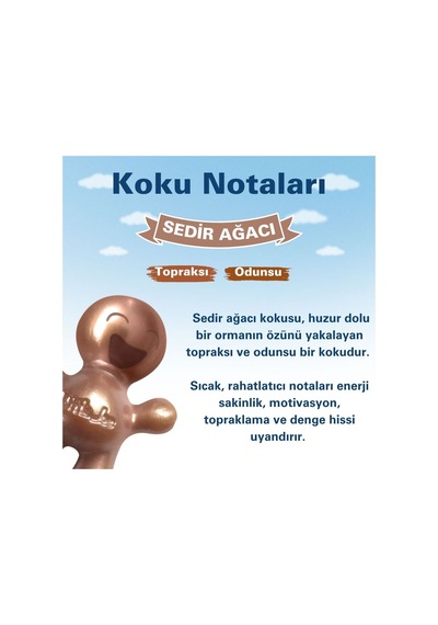 Little Joe Sedir Ağacı Araç Kokusu Cedarwood -45 Gün -oto Kokus