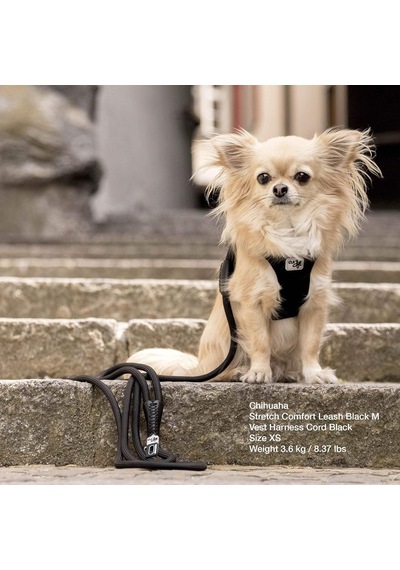 Stretch Comfort Leash Fuchsia L Genel