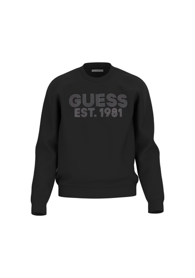 Beau Erkek Sweatshirt Jblk