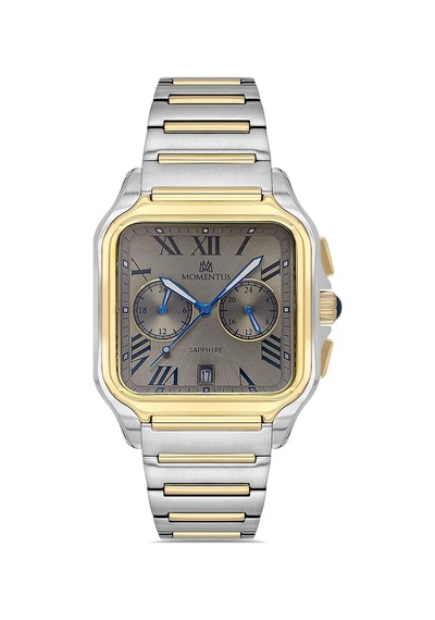 Momentus Men's Time Master Tm348t-03sg Gümüş - Altın