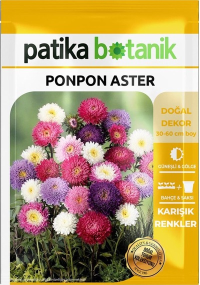 30 Adet Ponpon Aster Çiçek Tohumu
