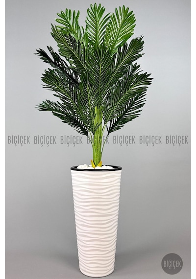 Biçiçek Areka Ağaci 150 Cm Beyaz Kumsal Saksıda Tek Gövdeli̇