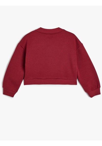 Koton Fermuarlı Sweatshirt Uzun Kollu Yuvarlak Yaka Şardonlu Bordo 5wkg10589ak Bordo Koton Fermuarlı Sweatshirt Uzun Kollu Yuvarlak Yaka Şardonlu Bordo 5wkg10589ak Bordo