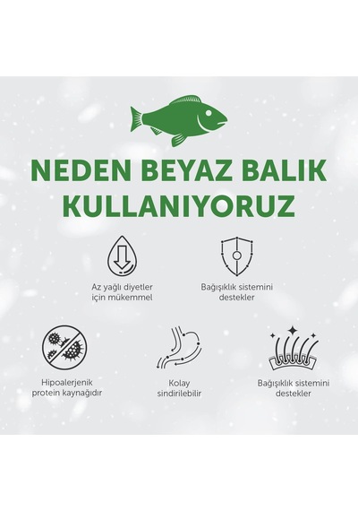 Superior Care Beyaz Tüylü Köpekler İçin Tahılsız Beyaz Balıklı Tüm Irklar Ve Tüm Yaşam Evreleri Köpek Maması 4kg