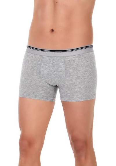 6 Adet Yıldız Erkek Likralı Formen Boxer Short Gri 367 001